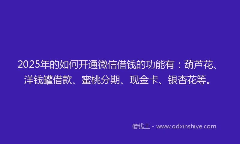 2025年的如何开通微信借钱的功能有：葫芦花、洋钱罐借款、蜜桃分期、现金卡、银杏花等。