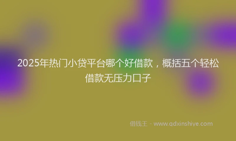 2025年热门小贷平台哪个好借款，概括五个轻松借款无压力口子