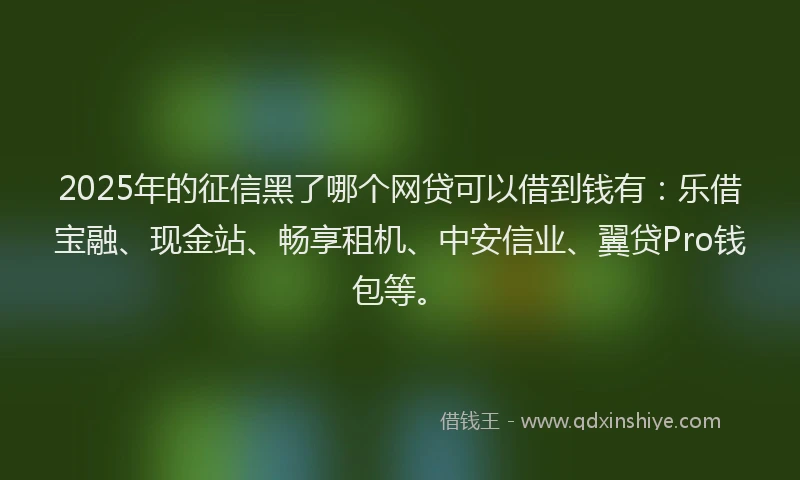 2025年的征信黑了哪个网贷可以借到钱有：乐借宝融、现金站、畅享租机、中安信业、翼贷Pro钱包等。