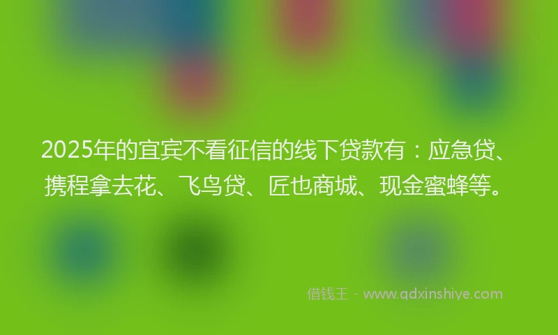 2025年的宜宾不看征信的线下贷款有：应急贷、携程拿去花、飞鸟贷、匠也商城、现金蜜蜂等。