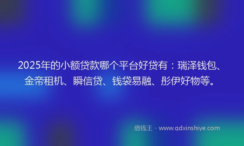 2025年的小额贷款哪个平台好贷有：瑞泽钱包、金帝租机、瞬信贷、钱袋易融、彤伊好物等。