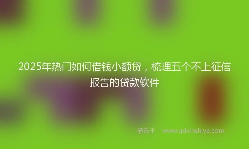 2025年热门如何借钱小额贷，梳理五个不上征信报告的贷款软件