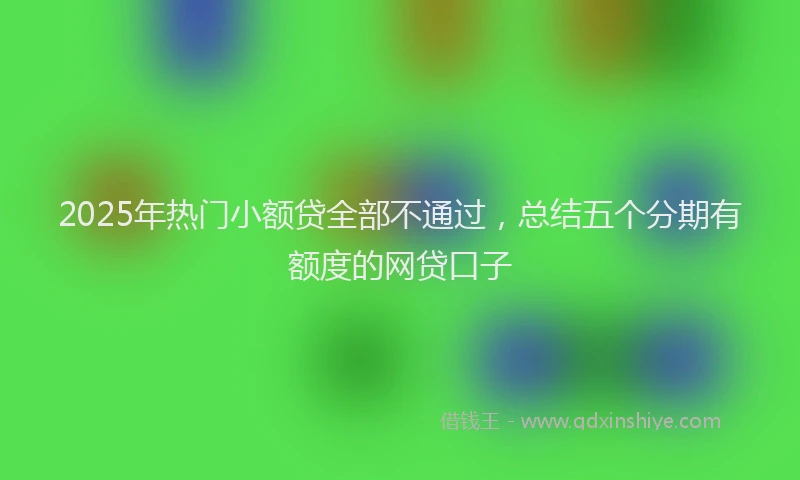 2025年热门小额贷全部不通过，总结五个分期有额度的网贷口子