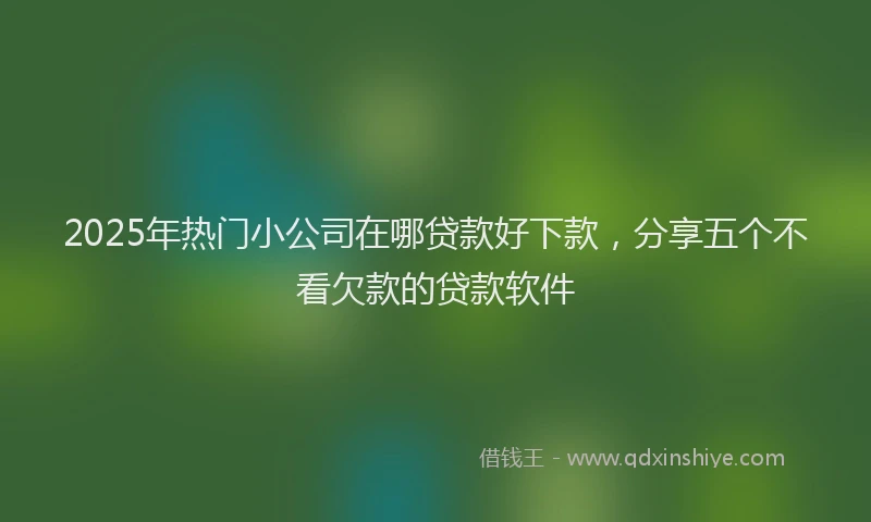 2025年热门小公司在哪贷款好下款，分享五个不看欠款的贷款软件
