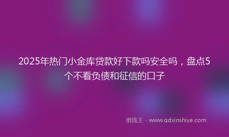 2025年热门小金库贷款好下款吗安全吗，盘点5个不看负债和征信的口子