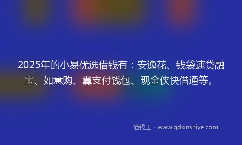 2025年的小易优选借钱有：安逸花、钱袋速贷融宝、如意购、翼支付钱包、现金侠快借通等。