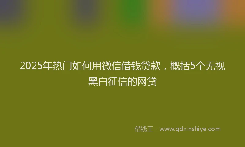 2025年热门如何用微信借钱贷款，概括5个无视黑白征信的网贷