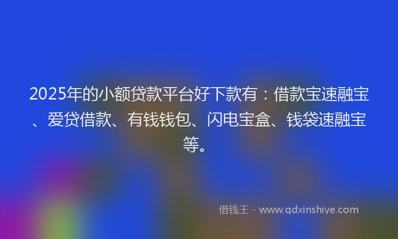 2025年的小额贷款平台好下款有：借款宝速融宝、爱贷借款、有钱钱包、闪电宝盒、钱袋速融宝等。