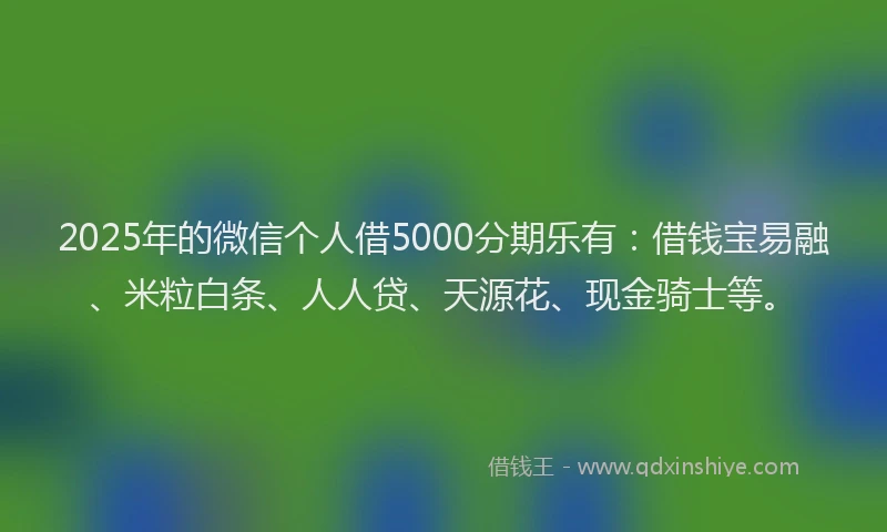 2025年的微信个人借5000分期乐有：借钱宝易融、米粒白条、人人贷、天源花、现金骑士等。