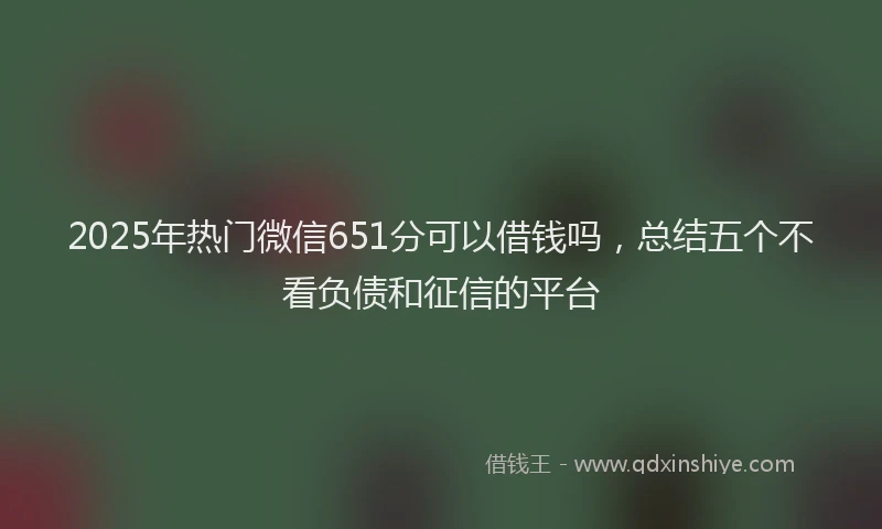 2025年热门微信651分可以借钱吗，总结五个不看负债和征信的平台