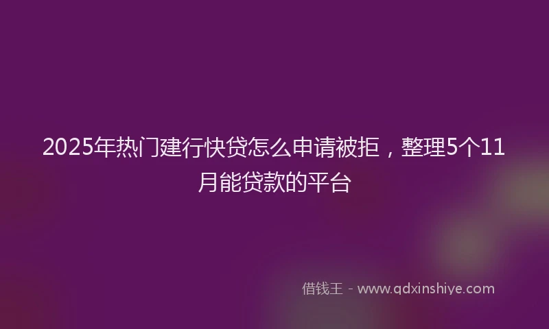 2025年热门建行快贷怎么申请被拒，整理5个11月能贷款的平台