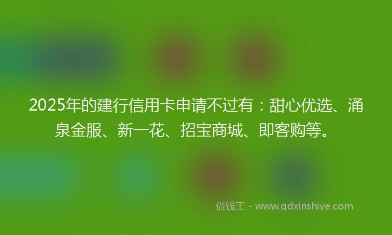 2025年的建行信用卡申请不过有:甜心优选、涌泉金服、新一花、招宝商城、即客购等。