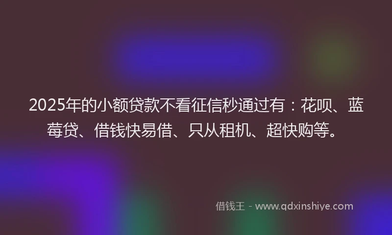 2025年的小额贷款不看征信秒通过有：花呗、蓝莓贷、借钱快易借、只从租机、超快购等。