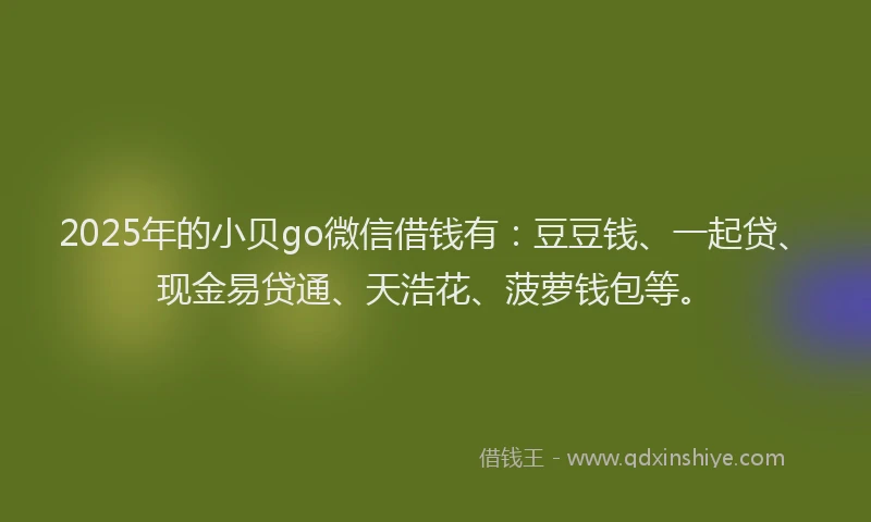 2025年的小贝go微信借钱有：豆豆钱、一起贷、现金易贷通、天浩花、菠萝钱包等。