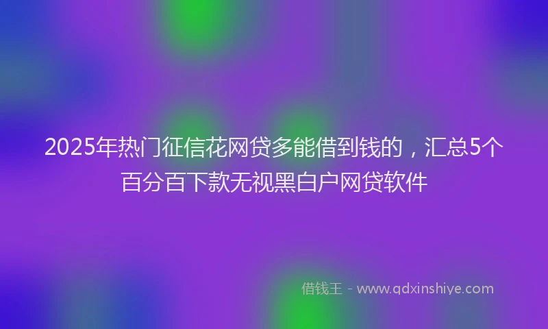 2025年热门征信花网贷多能借到钱的，汇总5个百分百下款无视黑白户网贷软件