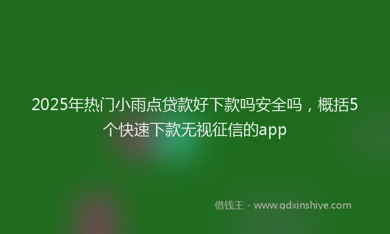 2025年热门小雨点贷款好下款吗安全吗，概括5个快速下款无视征信的app