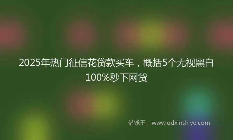 2025年热门征信花贷款买车，概括5个无视黑白100%秒下网贷