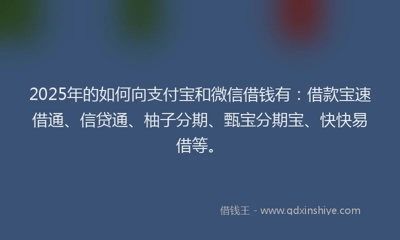 2025年的如何向支付宝和微信借钱有：借款宝速借通、信贷通、柚子分期、甄宝分期宝、快快易借等。