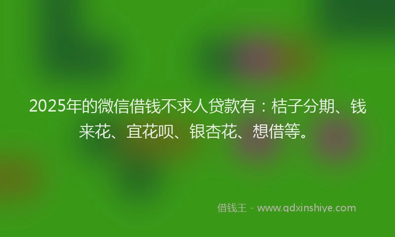 2025年的微信借钱不求人贷款有：桔子分期、钱来花、宜花呗、银杏花、想借等。