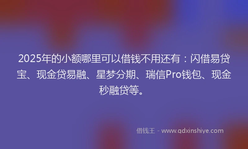 2025年的小额哪里可以借钱不用还有：闪借易贷宝、现金贷易融、星梦分期、瑞信Pro钱包、现金秒融贷等。