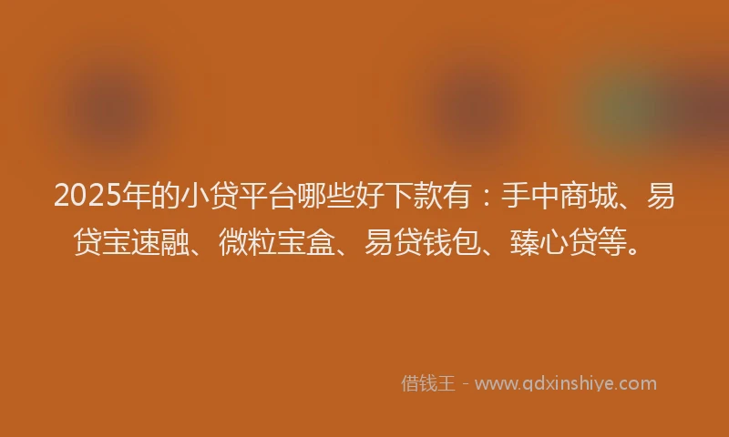 2025年的小贷平台哪些好下款有：手中商城、易贷宝速融、微粒宝盒、易贷钱包、臻心贷等。