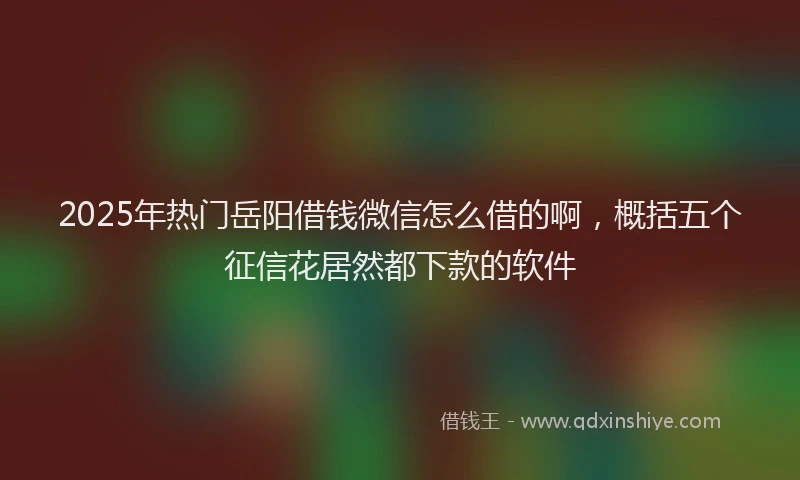 2025年热门岳阳借钱微信怎么借的啊，概括五个征信花居然都下款的软件