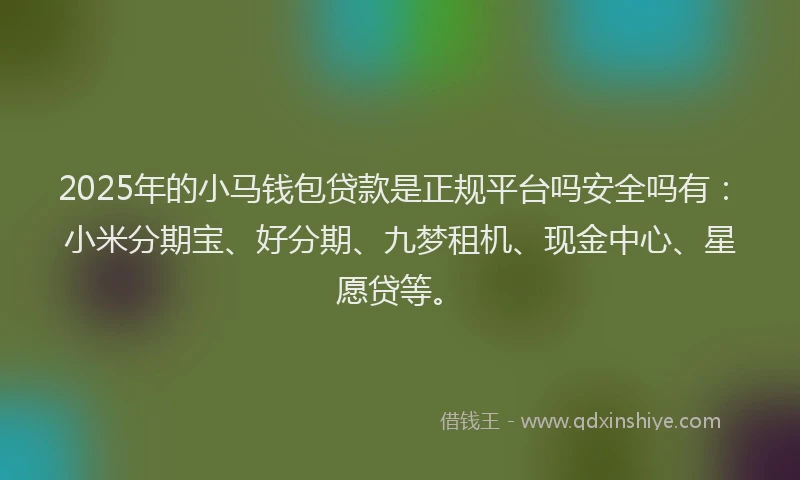 2025年的小马钱包贷款是正规平台吗安全吗有：小米分期宝、好分期、九梦租机、现金中心、星愿贷等。