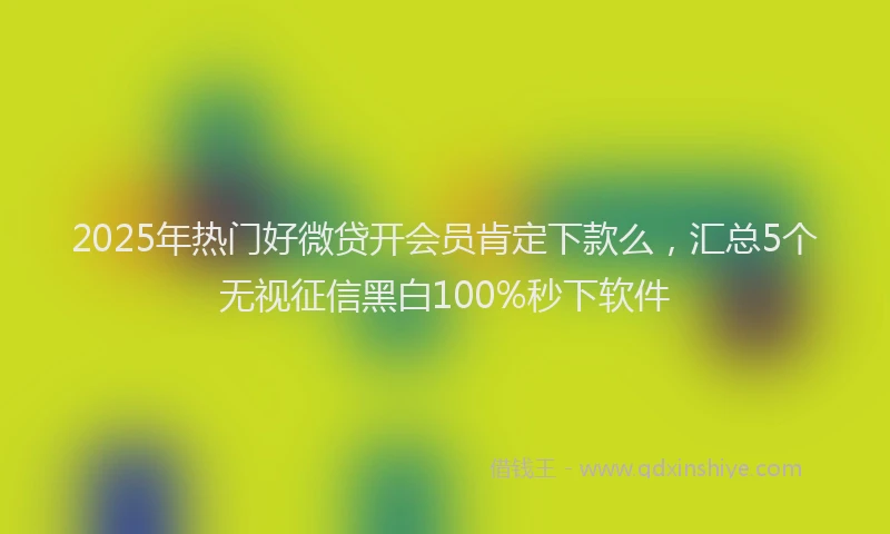 2025年热门好微贷开会员肯定下款么，汇总5个无视征信黑白100%秒下软件