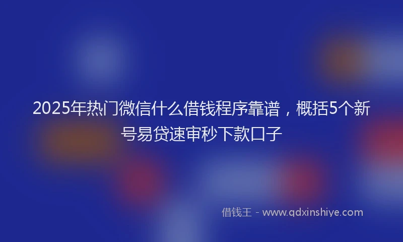 2025年热门微信什么借钱程序靠谱，概括5个新号易贷速审秒下款口子