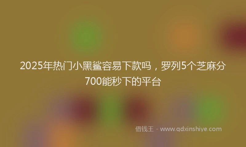 2025年热门小黑鲨容易下款吗，罗列5个芝麻分700能秒下的平台