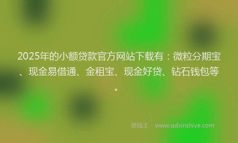 2025年的小额贷款官方网站下载有：微粒分期宝、现金易借通、金租宝、现金好贷、钻石钱包等。