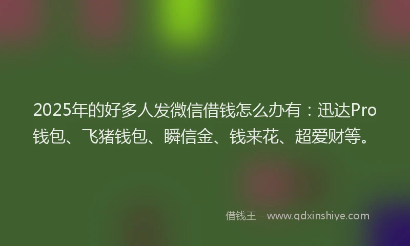 2025年的好多人发微信借钱怎么办有：迅达Pro钱包、飞猪钱包、瞬信金、钱来花、超爱财等。