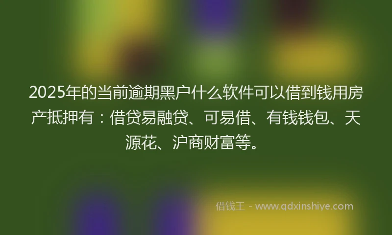 2025年的当前逾期黑户什么软件可以借到钱用房产抵押有：借贷易融贷、可易借、有钱钱包、天源花、沪商财富等。