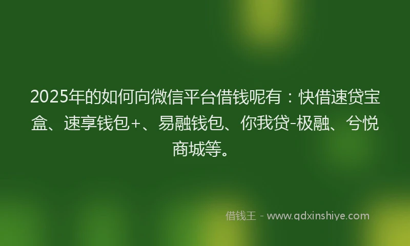 2025年的如何向微信平台借钱呢有：快借速贷宝盒、速享钱包+、易融钱包、你我贷-极融、兮悦商城等。