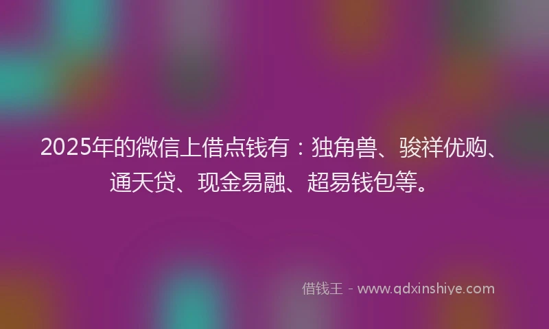 2025年的微信上借点钱有：独角兽、骏祥优购、通天贷、现金易融、超易钱包等。