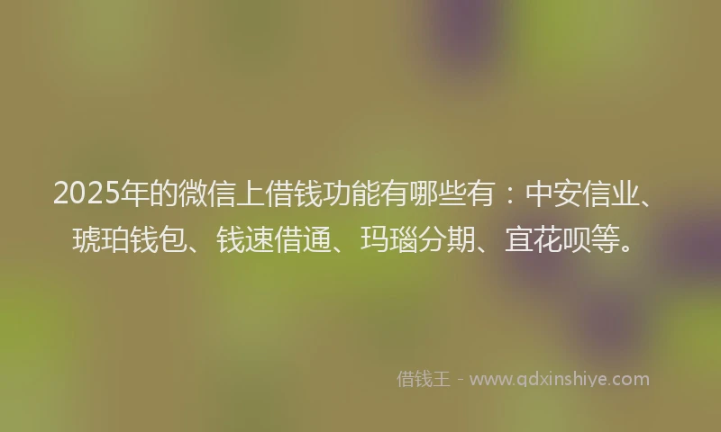 2025年的微信上借钱功能有哪些有：中安信业、琥珀钱包、钱速借通、玛瑙分期、宜花呗等。