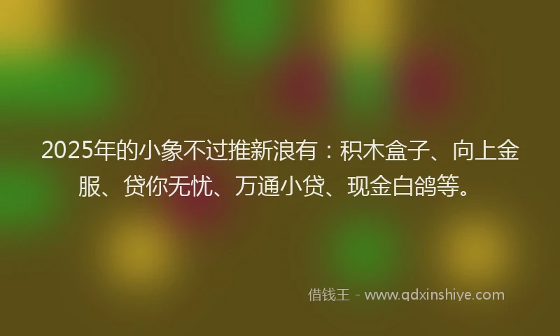 2025年的小象不过推新浪有：积木盒子、向上金服、贷你无忧、万通小贷、现金白鸽等。