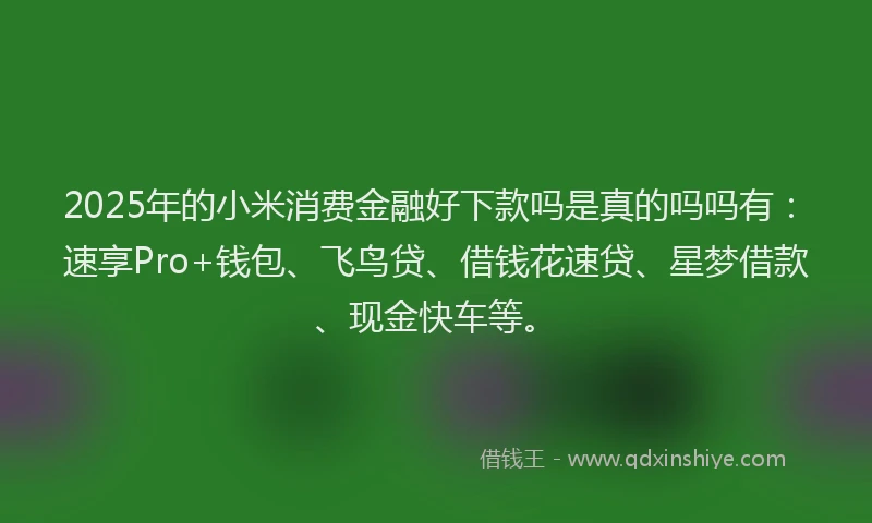 2025年的小米消费金融好下款吗是真的吗吗有：速享Pro+钱包、飞鸟贷、借钱花速贷、星梦借款、现金快车等。
