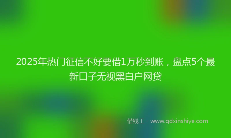2025年热门征信不好要借1万秒到账，盘点5个最新口子无视黑白户网贷