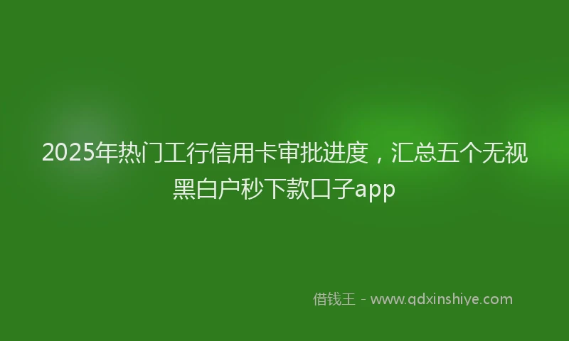 2025年热门工行信用卡审批进度，汇总五个无视黑白户秒下款口子app