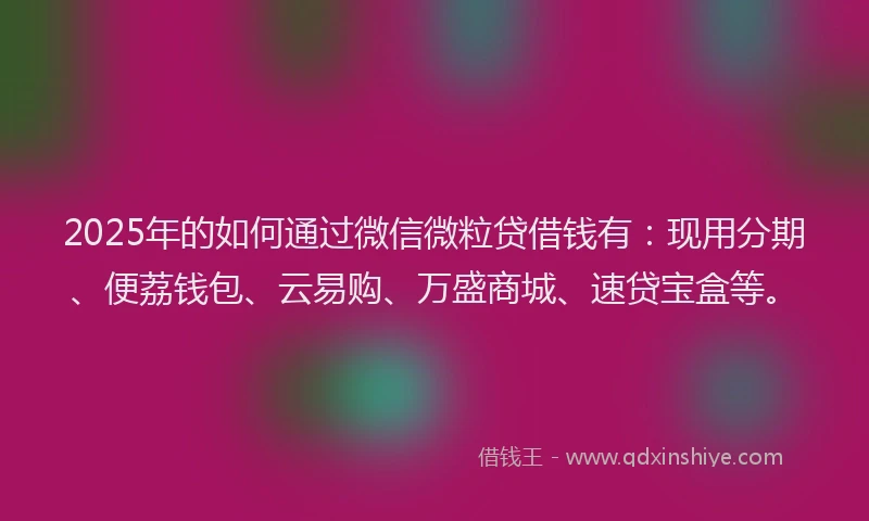 2025年的如何通过微信微粒贷借钱有：现用分期、便荔钱包、云易购、万盛商城、速贷宝盒等。