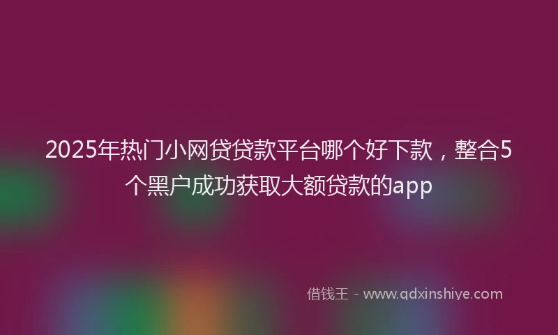 2025年热门小网贷贷款平台哪个好下款，整合5个黑户成功获取大额贷款的app