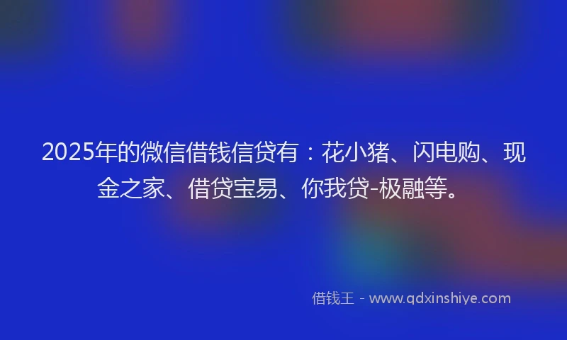 2025年的微信借钱信贷有：花小猪、闪电购、现金之家、借贷宝易、你我贷-极融等。