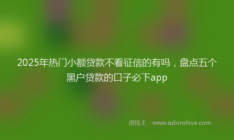 2025年热门小额贷款不看征信的有吗，盘点五个黑户贷款的口子必下app