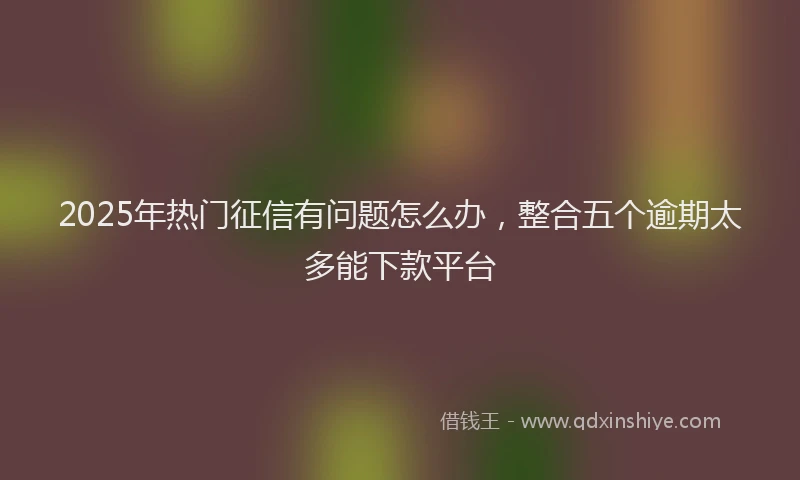 2025年热门征信有问题怎么办，整合五个逾期太多能下款平台