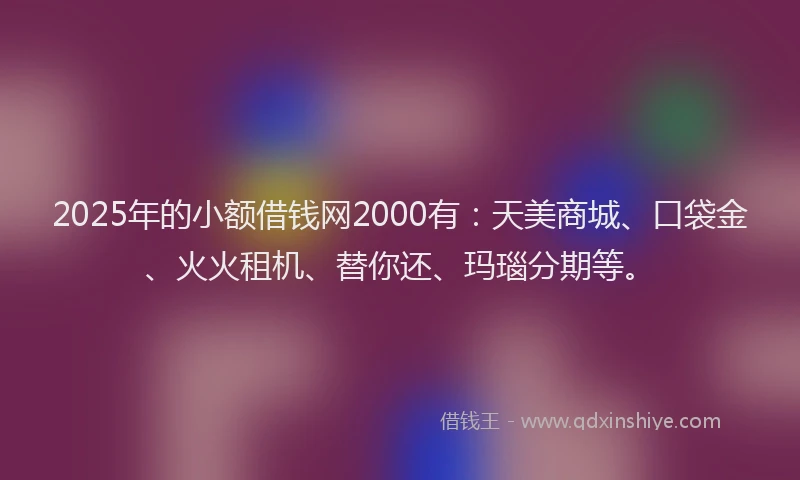 2025年的小额借钱网2000有：天美商城、口袋金、火火租机、替你还、玛瑙分期等。
