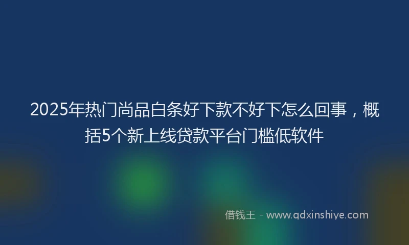 2025年热门尚品白条好下款不好下怎么回事，概括5个新上线贷款平台门槛低软件