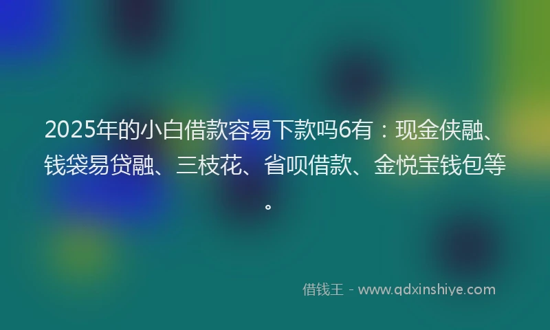 2025年的小白借款容易下款吗6有：现金侠融、钱袋易贷融、三枝花、省呗借款、金悦宝钱包等。