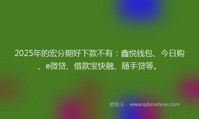 2025年的宏分期好下款不有：鑫悦钱包、今日购、e微贷、借款宝快融、随手贷等。