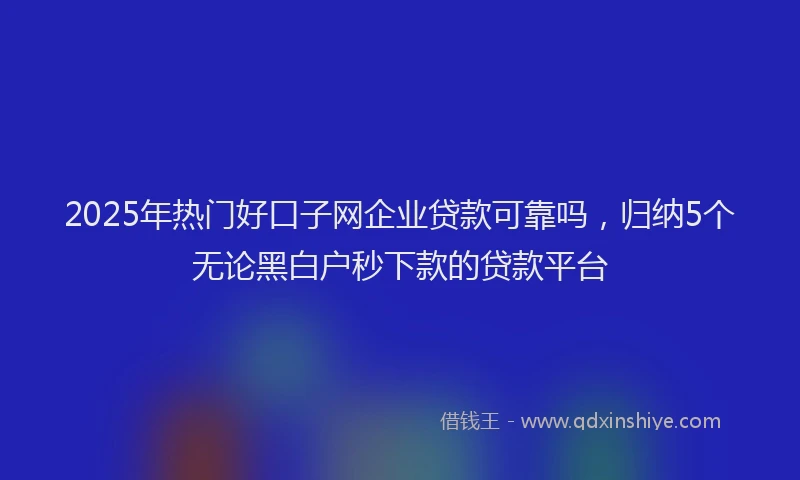 2025年热门好口子网企业贷款可靠吗，归纳5个无论黑白户秒下款的贷款平台